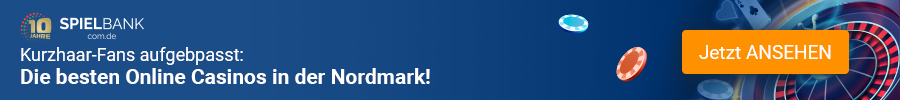 Bestes Online Casinos