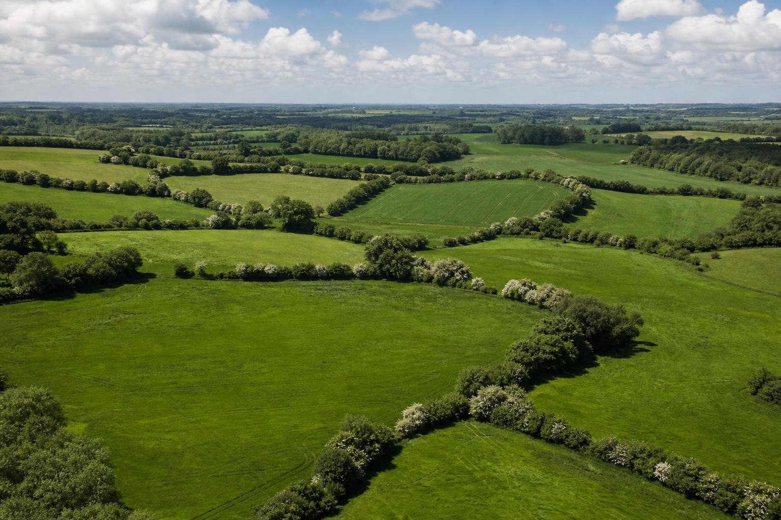 Typische Knicklandschaft in Schleswig-Holstein mit Feldern und Wallhecken (mit AI erstelltes Bild)